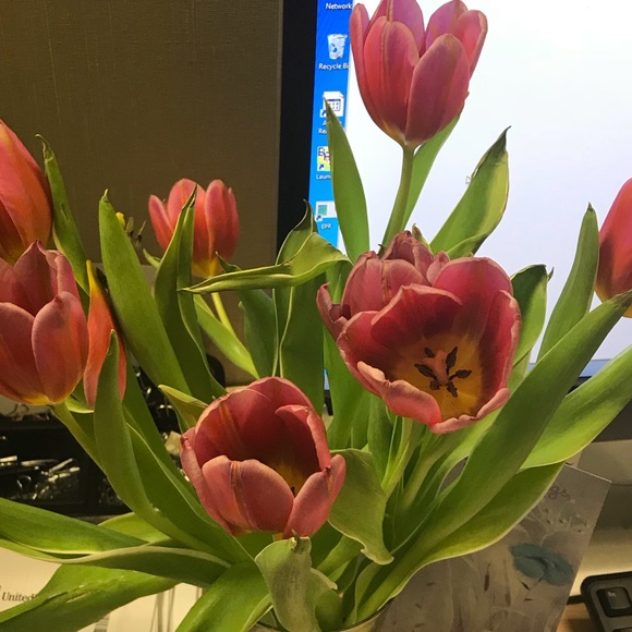 Meet your Posher, Kimberley - Picture 1 of 1